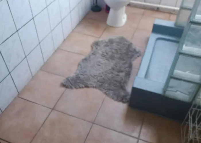 Privat Hazak Tapolca Raposka